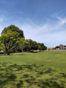 DSC_0075 DSC_0075